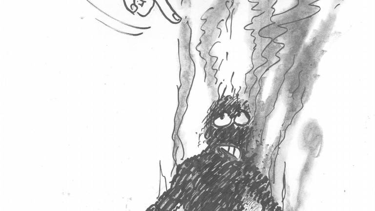 Confianza reducida a cenizas