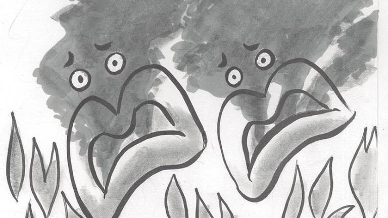 Refinería Dos Bocas,90% lealtad