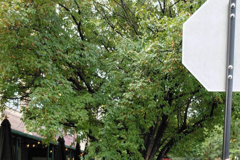 ¿Qué historia queremos contar? (Integración, cuarta y última)