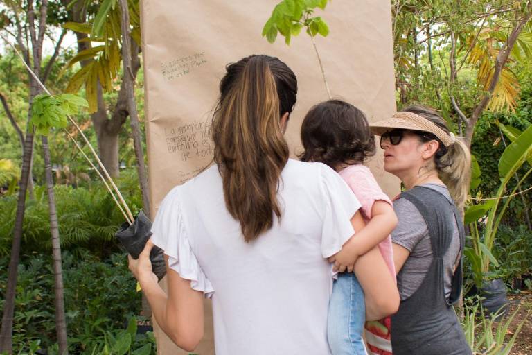 Por la reforestación sinaloense