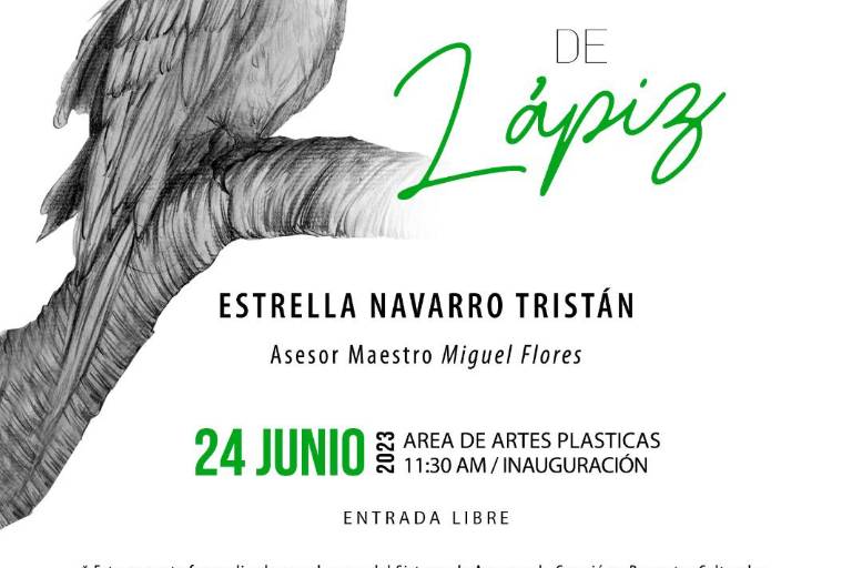 Estrella Navarro expondrá en el CMA ‘Aves de lápiz’