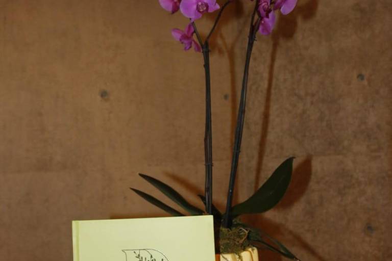 Comparte Ito Bátiz Murillo su libro ‘Detrás del Jardín Botánico’