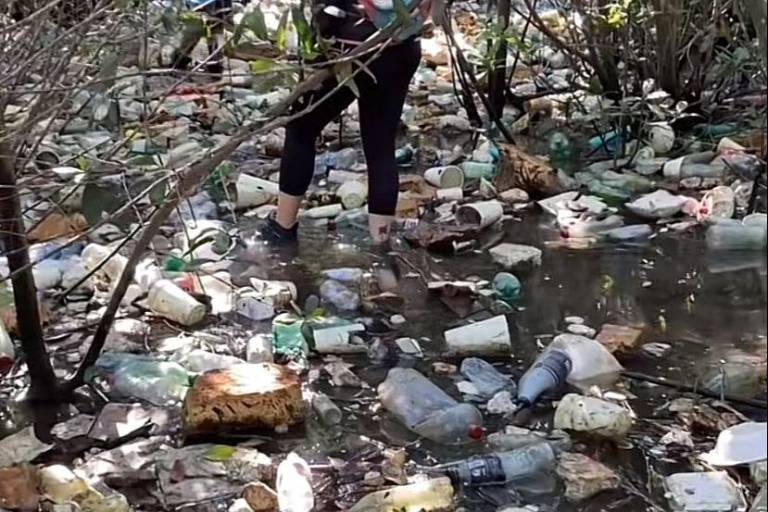 Descubren llena de basura una pequeña isla en Mazatlán