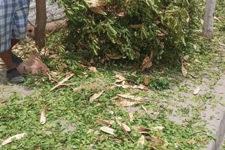 Inician trabajos de limpieza en panteones de Escuinapa