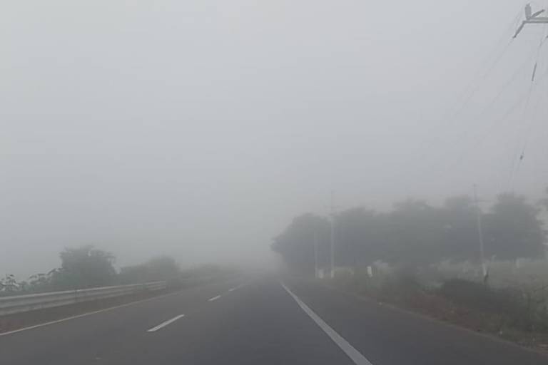 Intenso banco de neblina cubre Guasave