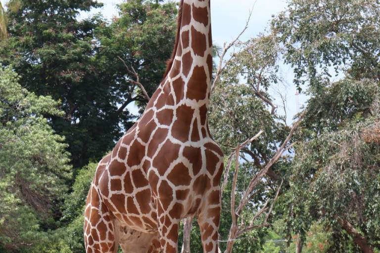 Disfrutan de zoológico mientras aprenden la importancia de cuidar a los animales