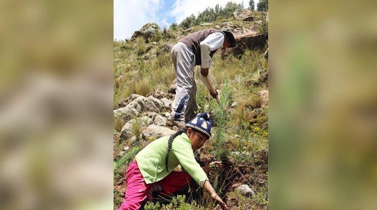 $!Día mundial de la adaptación al cambio climático: cuatro ejemplos exitosos en América Latina que necesitan ser apoyados