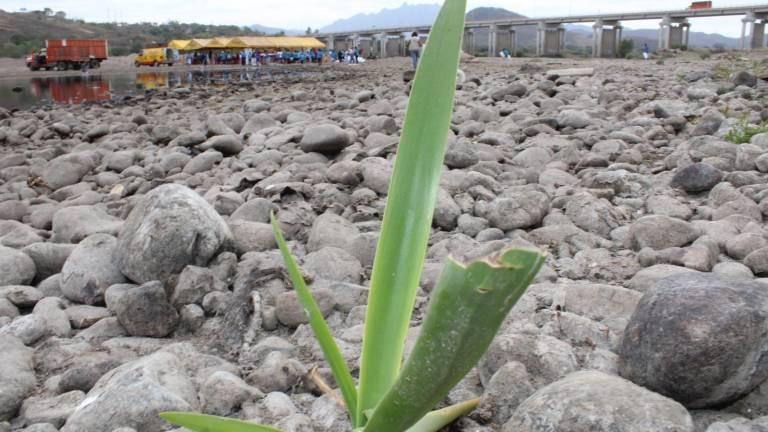 Ambientalista señala que por causa de la negligencia del Gobierno de Sinaloa existe crisis ambiental