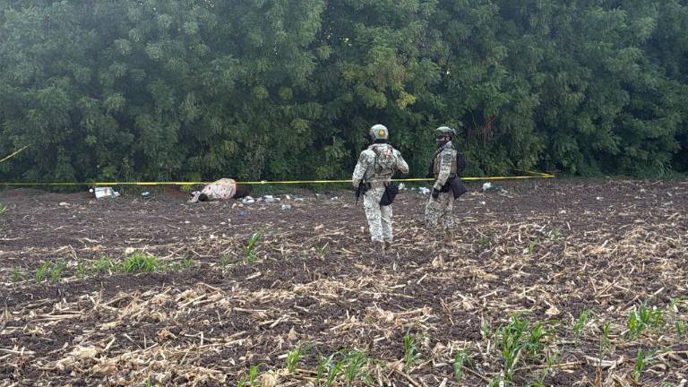 Autoridades resguardaron el área donde un colectivo de búsqueda localizó el cuerpo de un hombre sin identificar en una parcela agrícola de Navolato.