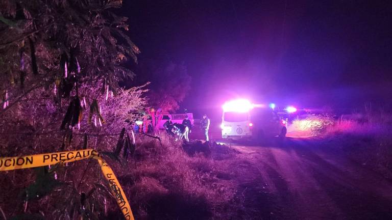 En el informe refieren que la agresión comenzó desde un domicilio y que se extendió por distintas partes de la colonia.