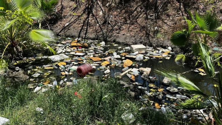 Durante un recorrido realizado por Noroeste, se constató que uno de los puntos más afectados es la extensión del arroyo Jabalines ubicada.