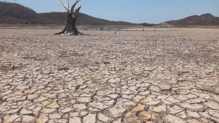 Sinaloa, uno de los estados afectados por la sequía.