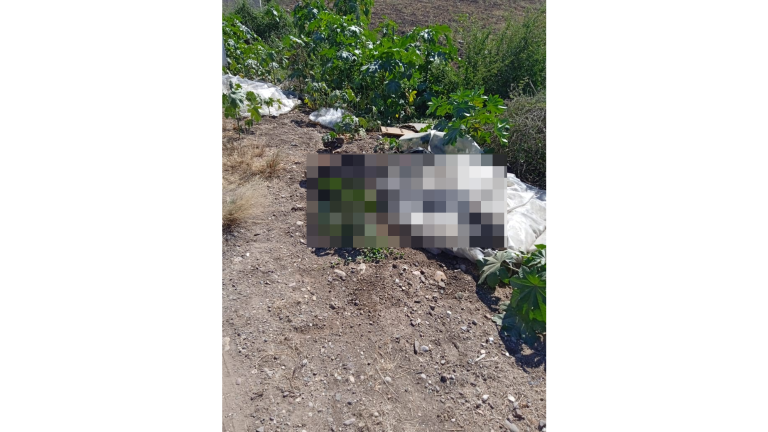 El hallazgo fue en un camino de terracería en la sindicatura de Costa Rica.