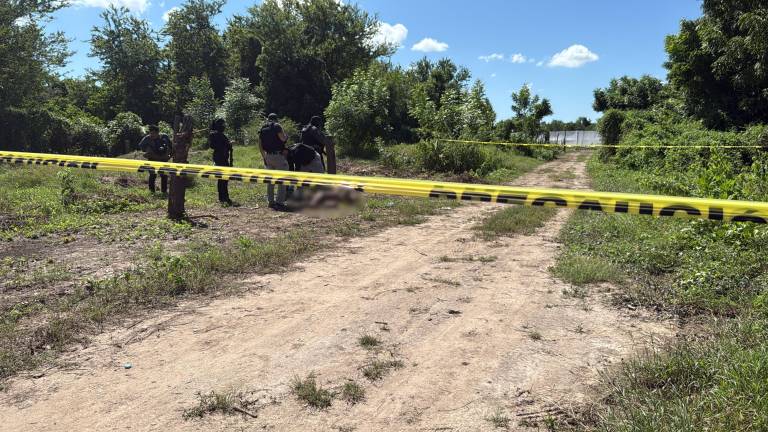 Personal de la Policía Estatal y peritos realizan diligencias en el predio donde fue encontrado el cuerpo de un hombre en Eldorado.