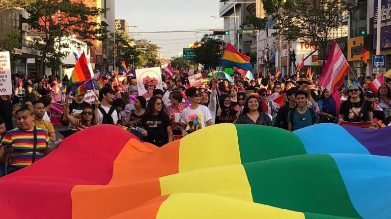 La comunidad LGBTTTI+ llama a partidos políticos y órganos electorales a que durante las campañas de este año se respeten sus derechos.