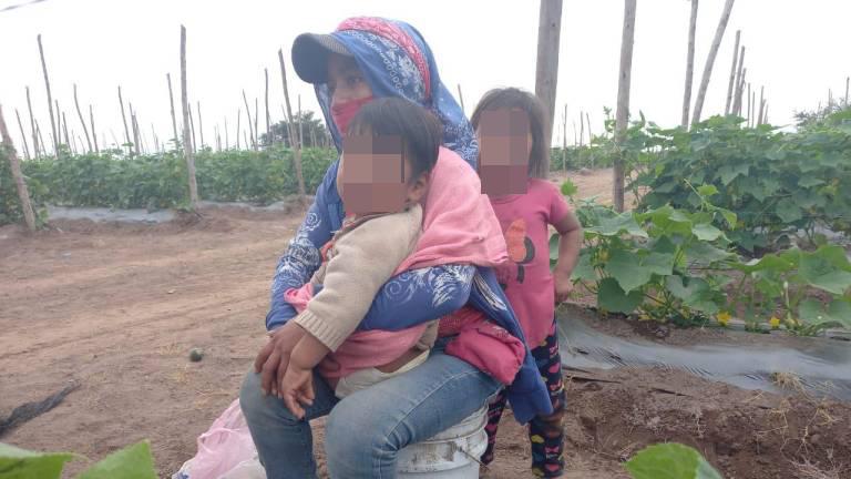 Han fallecido 3 hijos de jornaleros en Rosario y Escuinapa desde 2021