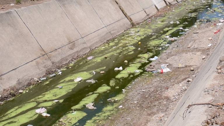 Al tener altas temperaturas provoca que en los ríos escasee el agua y queden charcos que a los días provocan plaga de moscas.