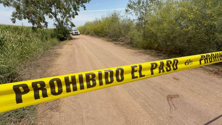Familiares localizaron el cuerpo de un hombre con heridas de arma de fuego en Elota.
