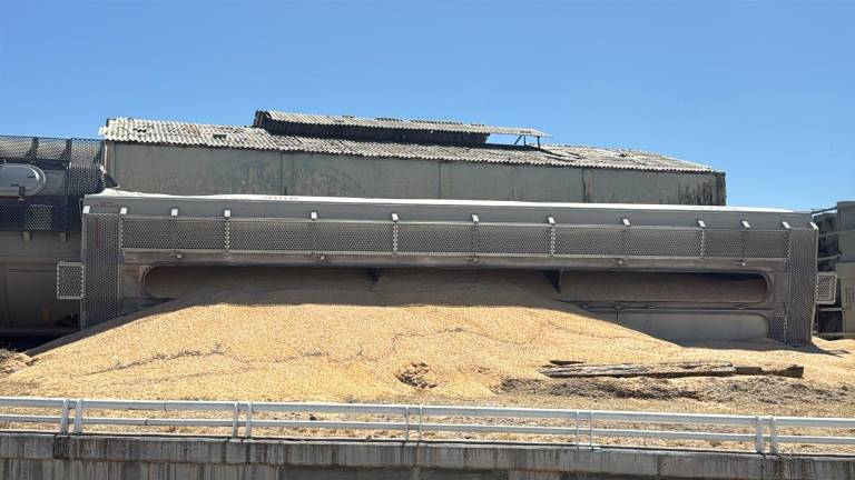 Vagones de un tren de carga quedaron fuera de las vías en el sector Recursos Hidráulicos de Culiacán tras un descarrilamiento.