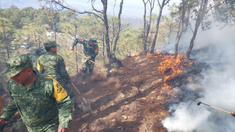 Personal del Ejército Mexicano apoya para tratar de sofocar el incendio en la sierra de Concordia.