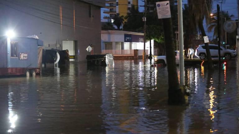 Vientos fuertes y lluvias derriban dos árboles y dos cables de baja tensión en Mazatlán