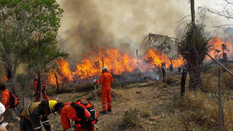 $!Los incendios forestales en Bolivia ocurridos entre 2010 y 2020 afectaron más de 5 millones de hectáreas de territorios indígenas