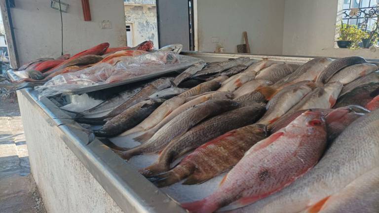 Los comerciantes dicen que no hay escasez de producto, sino que la venta se compara a la que hubo en la pandemia.