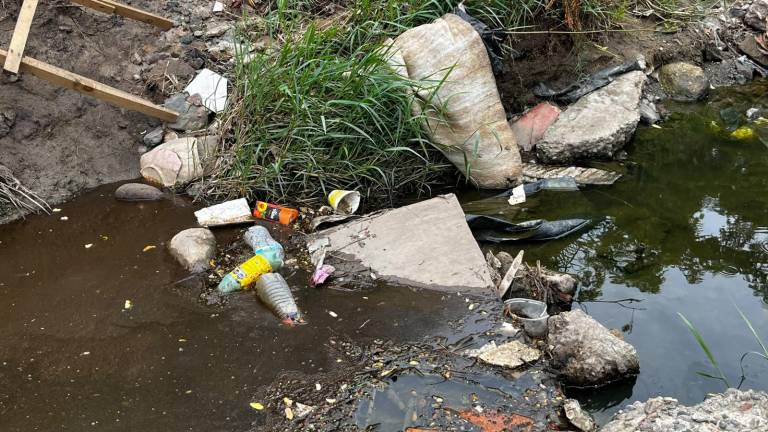 La contaminación afecta el arroyo y el hábitat de las tortugas.