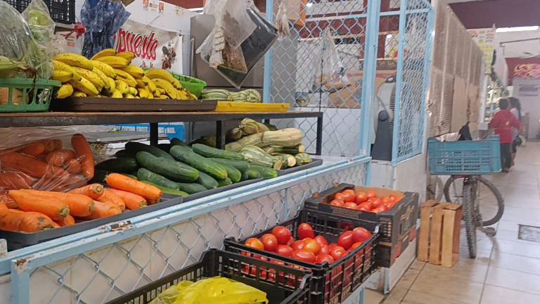 Los nuevos horarios se aplicarán esta semana.