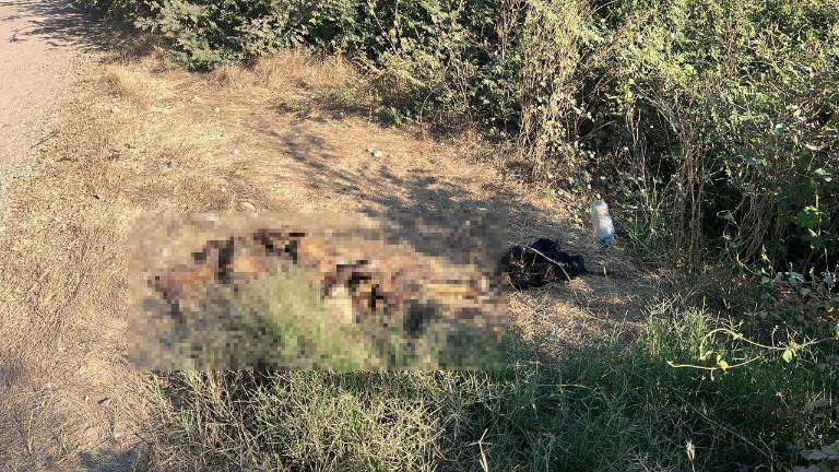 Los restos se encontraron en un baldío rumbo al poblado de Las Bateas.
