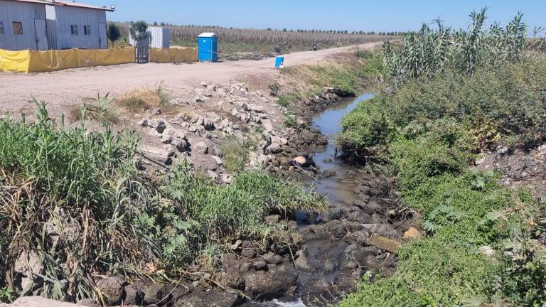 El cuerpo fue ubicado sobre el canal lateral 34 que comunica al campo San Marcos.