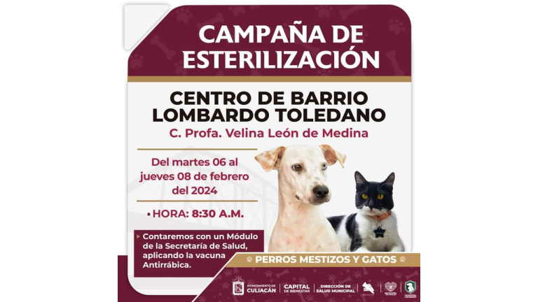 Comenzará el martes campaña de esterilización de perros y gatos mestizos en Culiacán