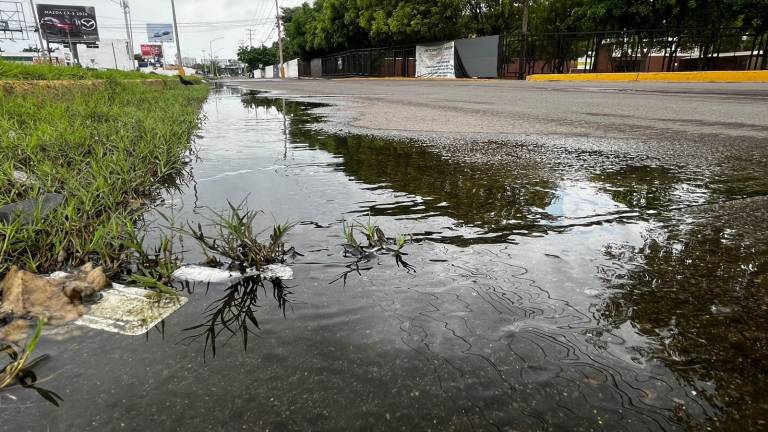 El brote se registra sobre la Calle Francisco Solís, entre Bicentenario y la Avenida La Marina.