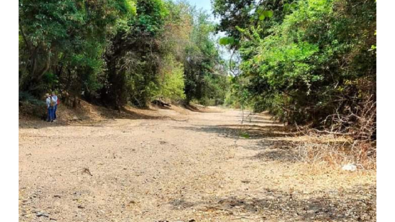 Sabuesas Guerreras hallan restos humanos cerca de carretera a Tepuche