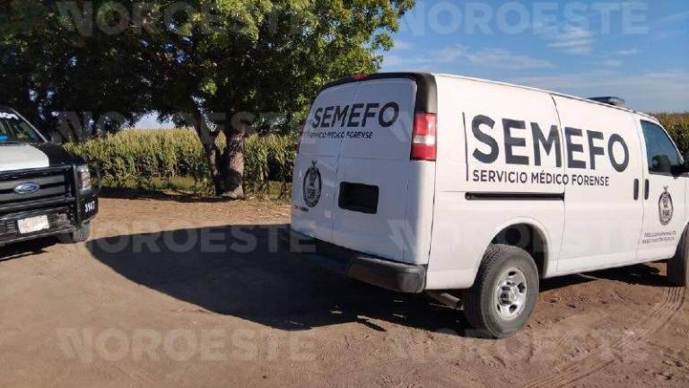 Personal forense y policial en el sitio del hallazgo del cuerpo en las inmediaciones de Villa Juárez, Navolato.