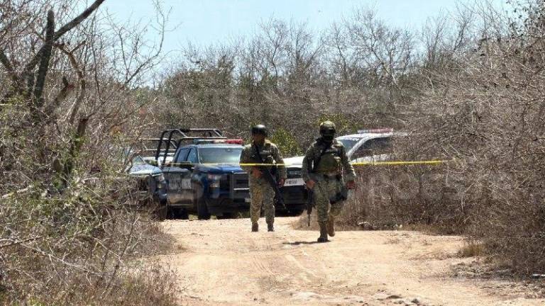 Autoridades resguardan la zona del hallazgo en El Castillo; los cuerpos presentaban signos de tortura.