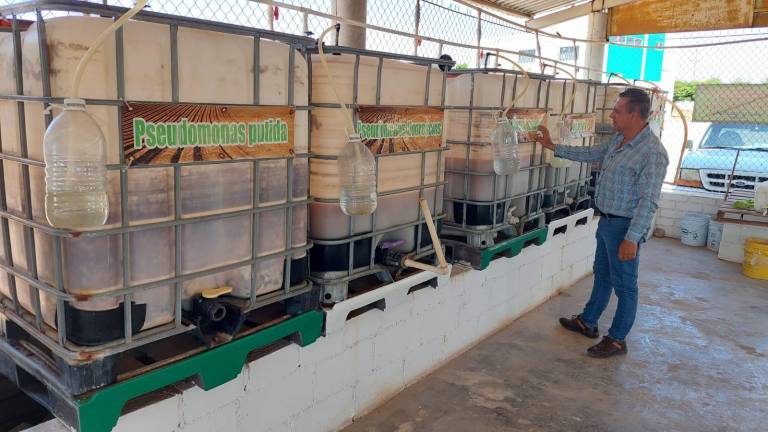 Gerardo Urías explica el proyecto que nació en 2017 en la Junta Local de Sanidad Vegetal del Valle del Évora.