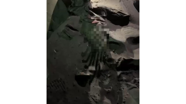 Los hechos por los que fueron vinculados los hombres ocurrieron en 2024 en la playa El Tambor, donde fue localizado el cuerpo de la víctima.