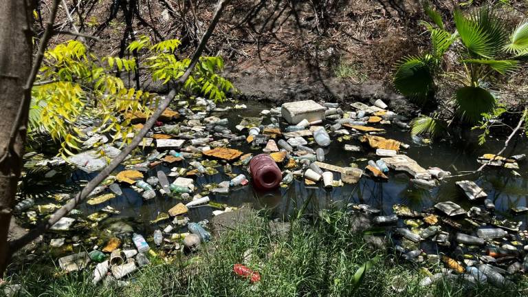 La basura vuelve a ganar terreno en los arroyos de Mazatlán.