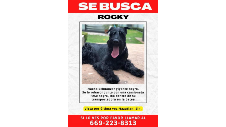 Rocky fue robado junto con la camioneta donde viajaban sus dueños la noche del Eclipse, en la Avenida Canseco, en Mazatlán.