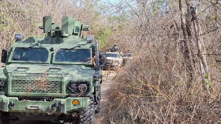 Fuerzas federales investigan presunta fosa clandestina cerca de El Verde, Concordia, Sinaloa.