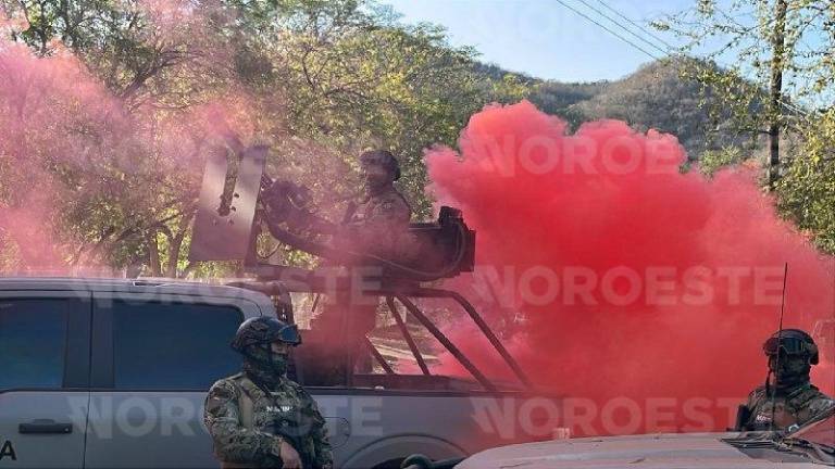 Fuerzas federales desplegaron operativo en El Álamo; hubo detenciones y uso de humo disuasivo.