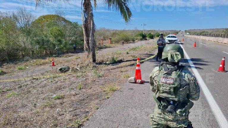 Autoridades federales resguardan el sitio del hallazgo en el municipio de San Ignacio este viernes.