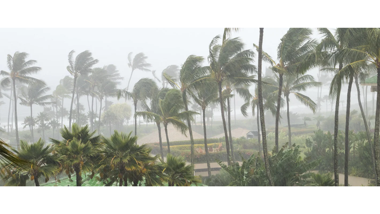 La Organización Panamericana de la Salud reunió virtualmente a autoridades de los ministerios de salud de la región con el fin preparar al sector de la salud.