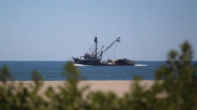 Reprobadas, todas las Áreas Naturales Protegidas Marinas en México: Oceana