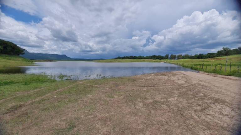 Narnia es una zona dentro del vaso de la presa Sanalona que se ubica en las inmediaciones de La Cofradía, en la sindicatura de Imala