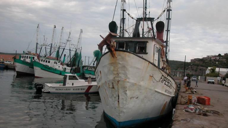 Pinta mala la temporada para pescadores de altamar de Topolobampo