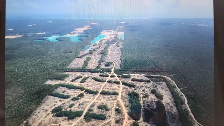 El colectivo Sélvame del Tren tienen calculados al menos 10 millones de árboles talados o removidos por el Tren Maya.