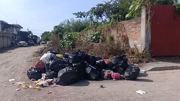 Son muchas las colonias que tienen el problema, indicaron.