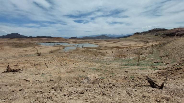 La presa Gustavo Díaz Ordaz registra niveles alarmantes.